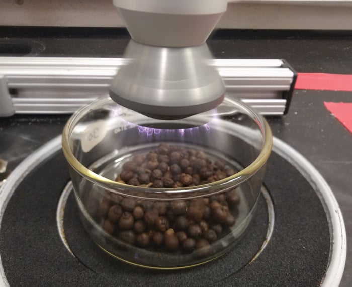 Black Pepper in Plasma