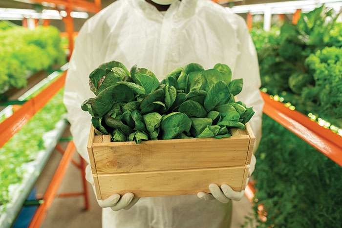 greens