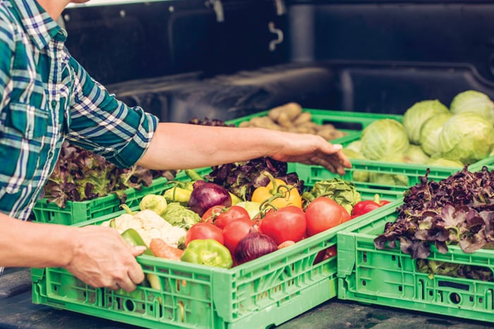 Close up shot of boxes full of different kind of fresh vegetables