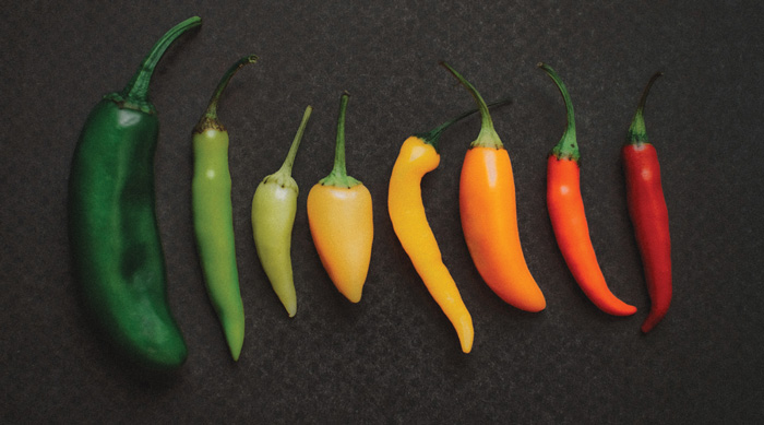 Peppers
