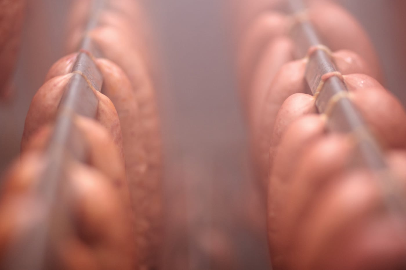 Smoked Sausage