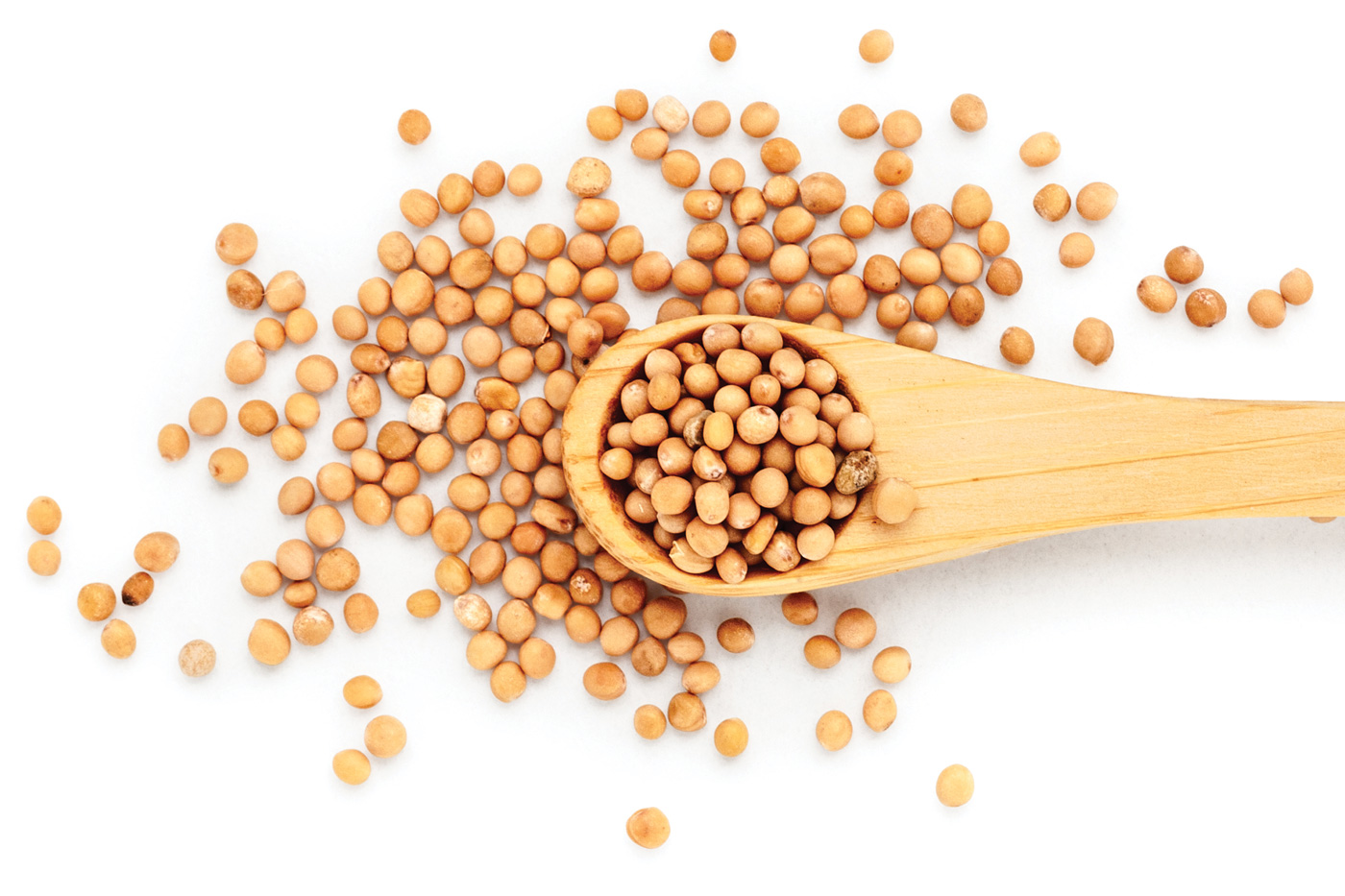 Mustard Seeds