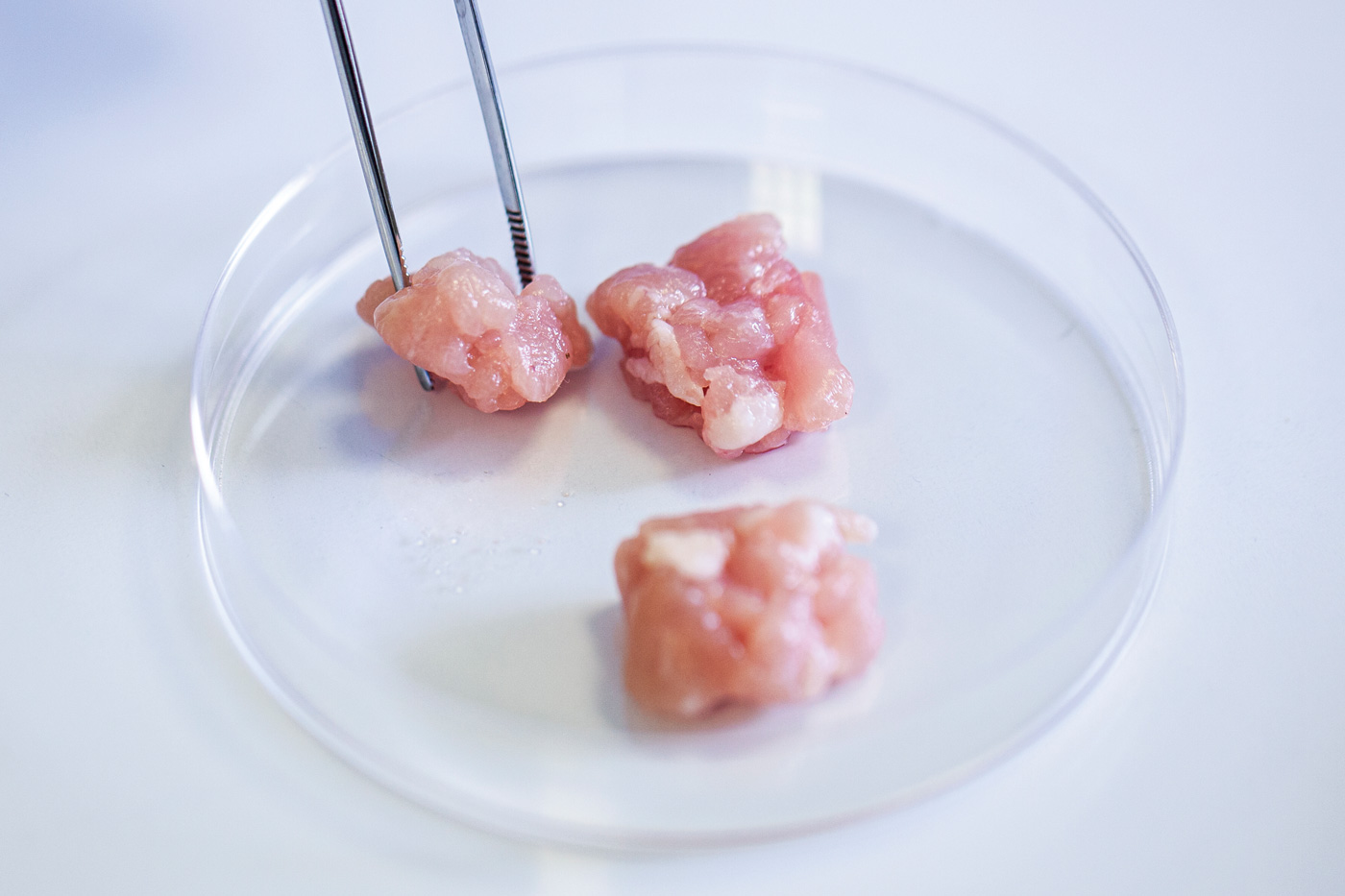 Cultivated Meat