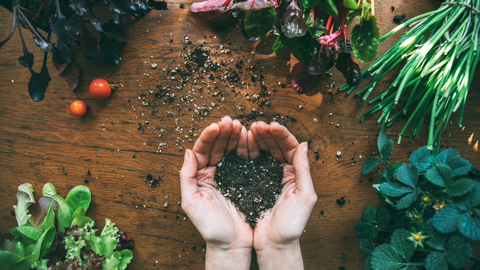 Omnivore Episode 20 bare hands holding soil in the shape of a heart over a table with freshly picked produce